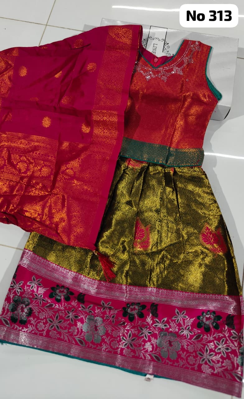 Lehenga Choli (No 313)(Size 24)
