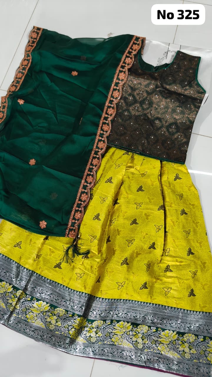 Lehenga Choli (No 325)(Size 32)